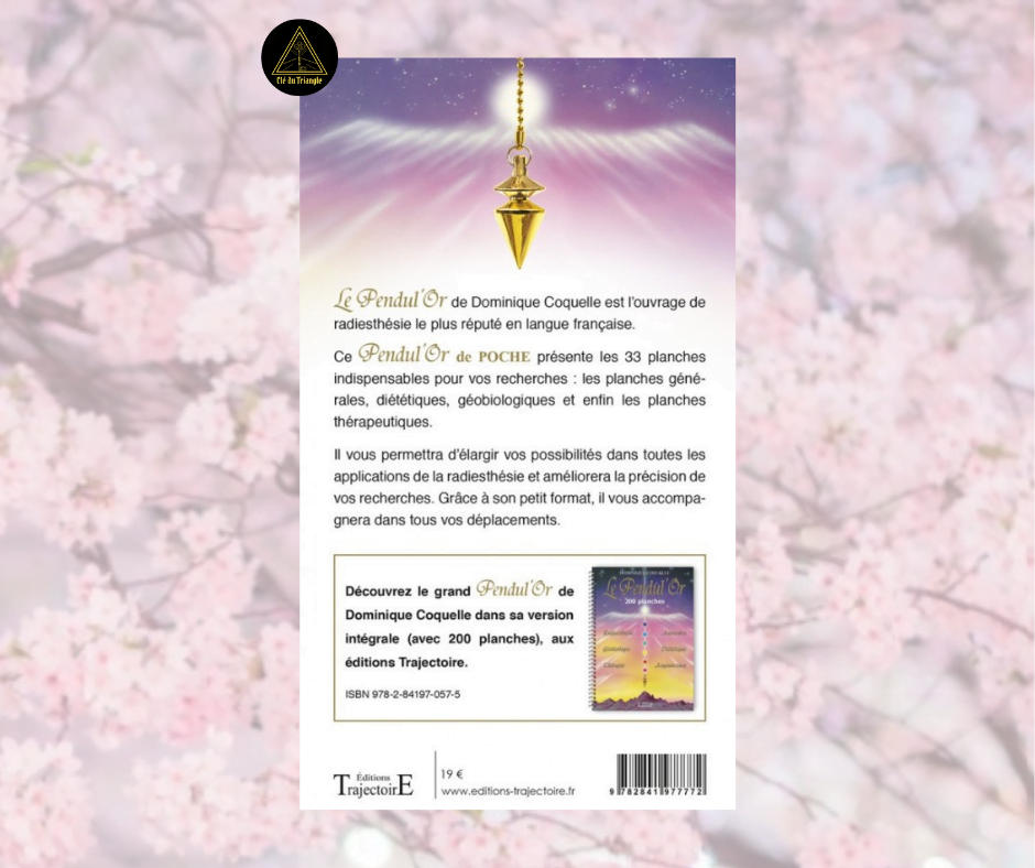 Le mini Pendul'Or de Poche 33 planches énergétiques – Image 2