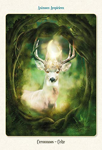 Coffret L'oracle des animaux divins – Image 5