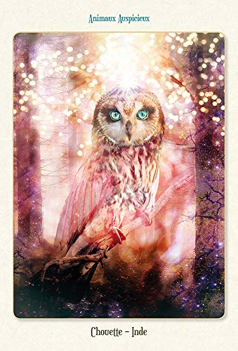 Coffret L'oracle des animaux divins – Image 4