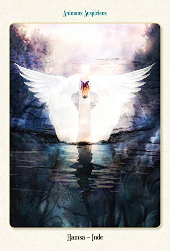 Coffret L'oracle des animaux divins – Image 3