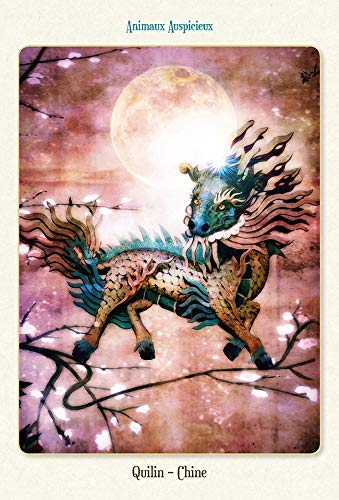 Coffret L'oracle des animaux divins – Image 2