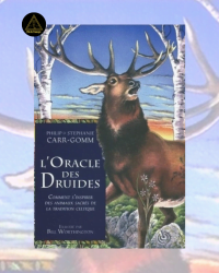 L'Oracle des Druides - Philip Carr-Gomm