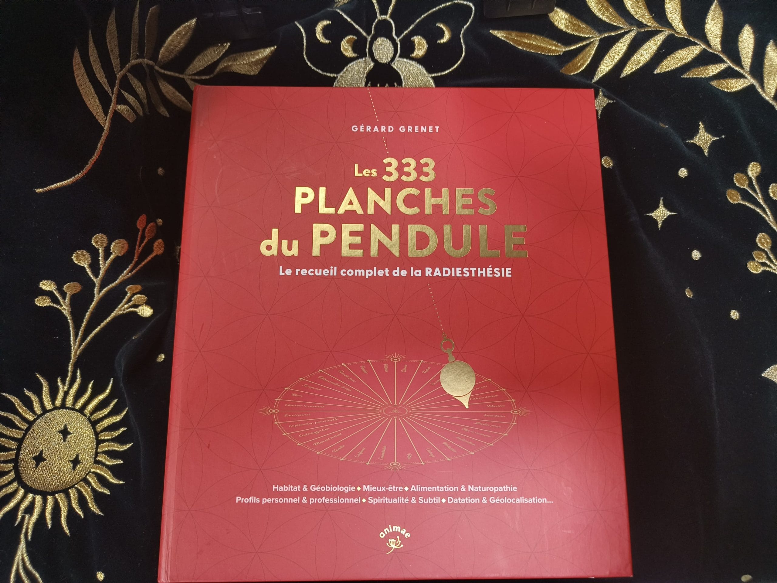 LES 333 PLANCHES DU PENDULE