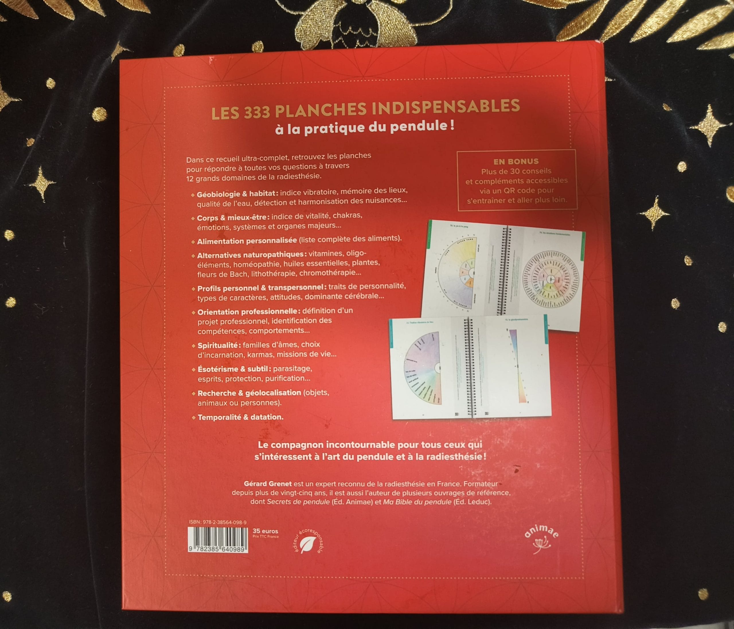 LES 333 PLANCHES DU PENDULE – Image 2